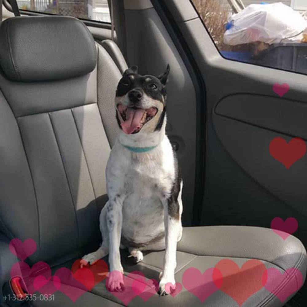 Meet your Posher, Danielle